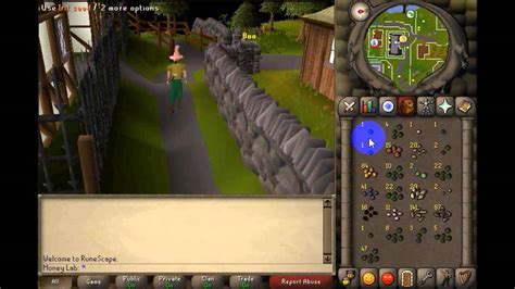 Loot From 45 Thieving To 55 In Runescape 2007 Master Farmer Youtube