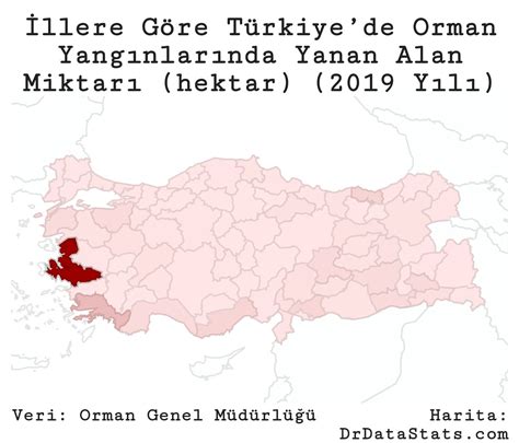 Dünya nın Verisi on Twitter 2019 da en çok orman ı yanan iller