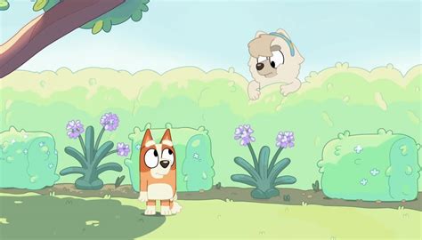 Bluey Capítulo 15 Mariposas TVN