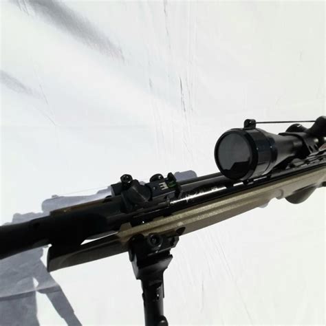 Gamo Hpa Jungle Mi Maxxim Igt Mm Luchtbuks X Richtkijker