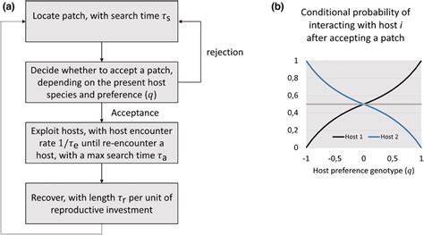 Stages Of Parasitoid Hostsearching Behavior A And The Effect Of