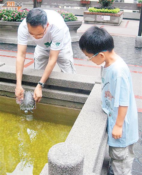 美孚居民舉報七旬翁虐龜 東方日報