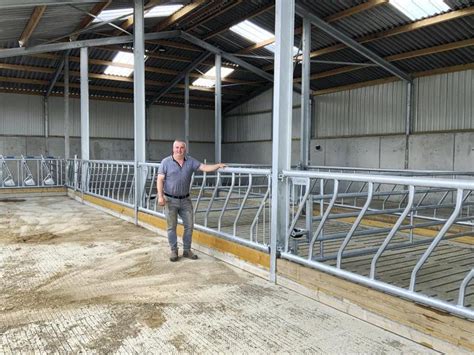 New Suckler Shed For Expanding Beef Farmer And Contractor Free