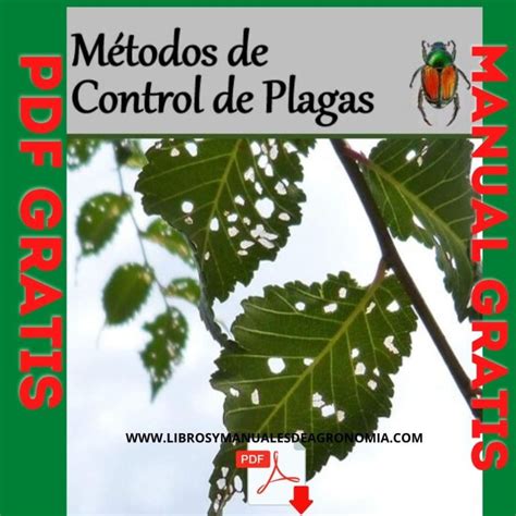 Manual De PLAGAS Y ENFERMEDADES Del Tomate Pdf Gratis Libros Y