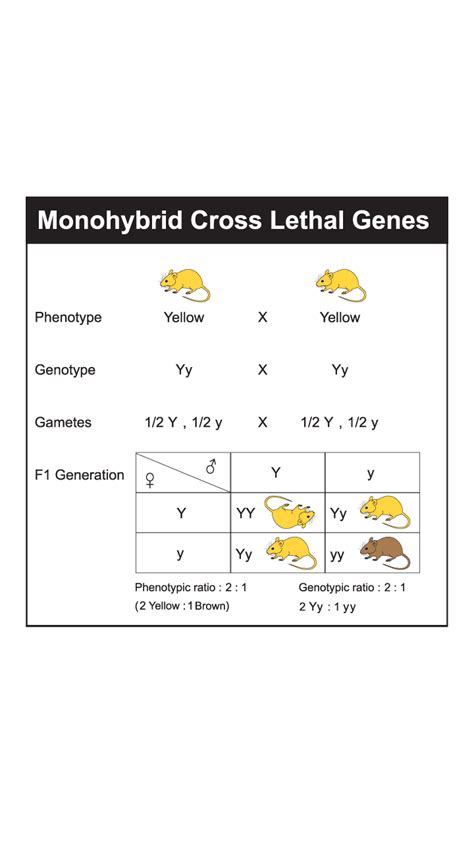 Post Mendelian Genetics General Biology I Lab Mendelian Genetics