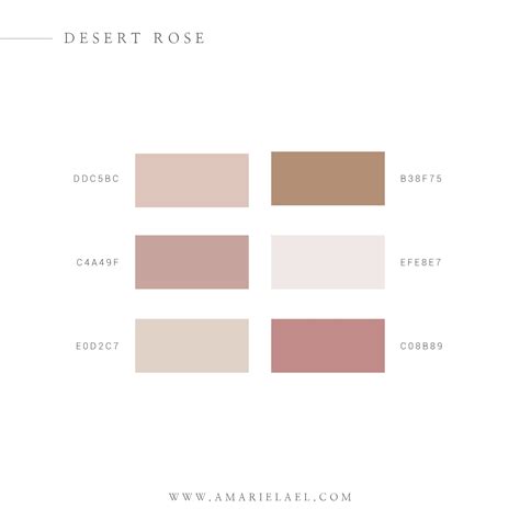 Feminine Color Palette Blush Color Palette Website Color Palette Brand Color Palette Brand