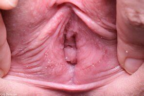 Pussy Internet Porn Pic