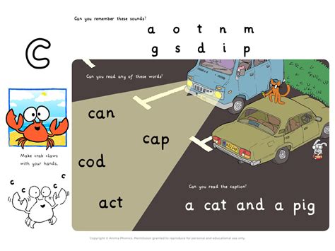 Phase 2 - c - ANIMA PHONICS