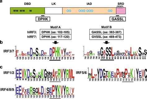 Identification Of Two Conserved Motifs Unique To The Irf Proteins