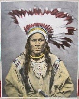 A Hand Tinted Photo Of Indian Chief Crow Flies High Of North Dakota