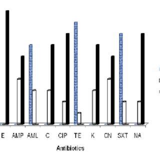 Antibiogram Profile Of Escherichia Coli Isolates Of Pigeons Against