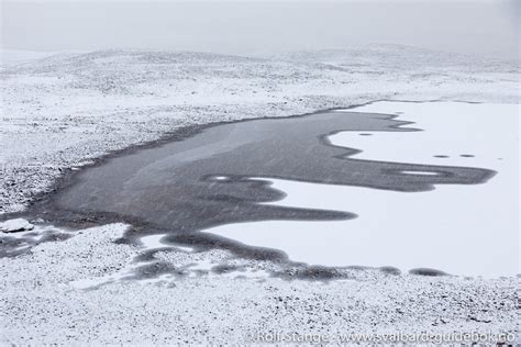 Svalbard Under Seil September 2019 Nordaustlandet Og Hinlopenstretet