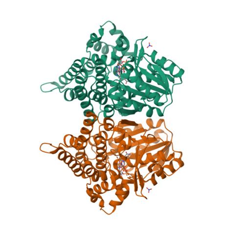 Rcsb Pdb W Z Crystal Structure Of Bacillus Subtilis Yugj In Complex