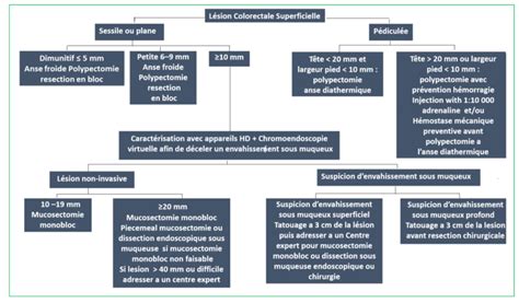 Algorithme proposé par lESGE pour la prise en charge des lésions