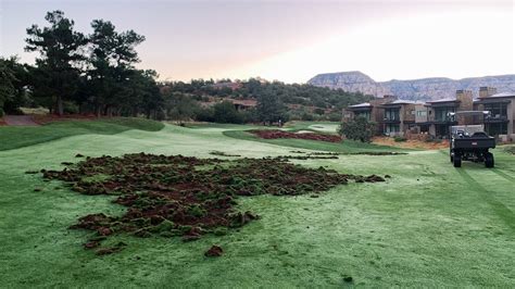 Arizona Golf Course Destroyed By Herds Of Javelinas Golf Monthly