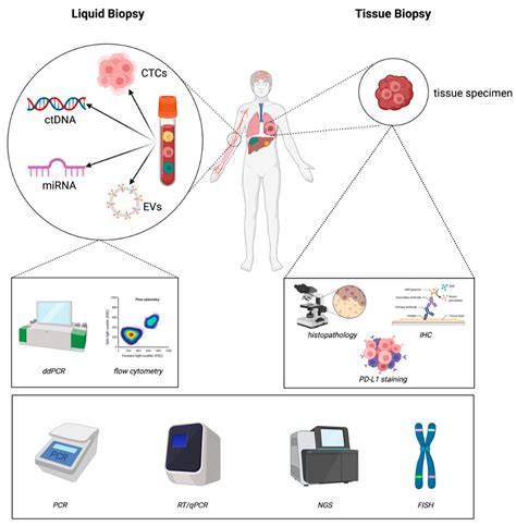 Cancers Free Full Text Liquid Biopsies In Lung Cancer