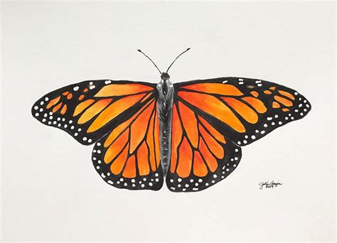 Monarch Butterfly Watercolor