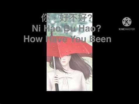 你好不好 Ni Hao Bu Hao How Have You Been Lyrics with English and Pinyin