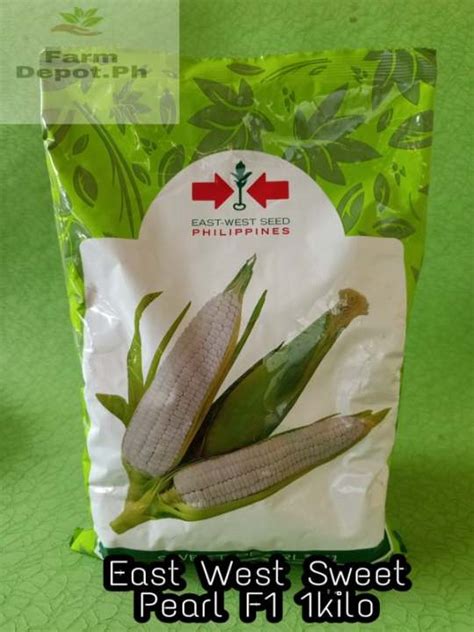 East West Seeds Sweet Pearl F White Corn Kilo Lazada Ph