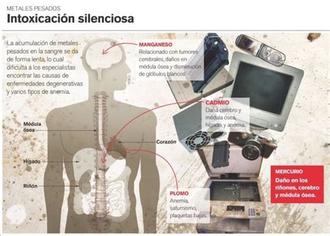 La Basura Electr Nica Y Su Impacto En La Salud