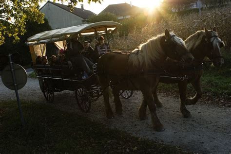 Cheval Territorial Et R Ves Des Enfants Le Blog De Imagiter Over