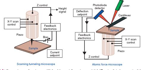 Figure From Atomic Force Microscopy Of Biological Samples Semantic