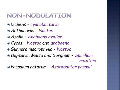 Nitrogen fixation | PPT