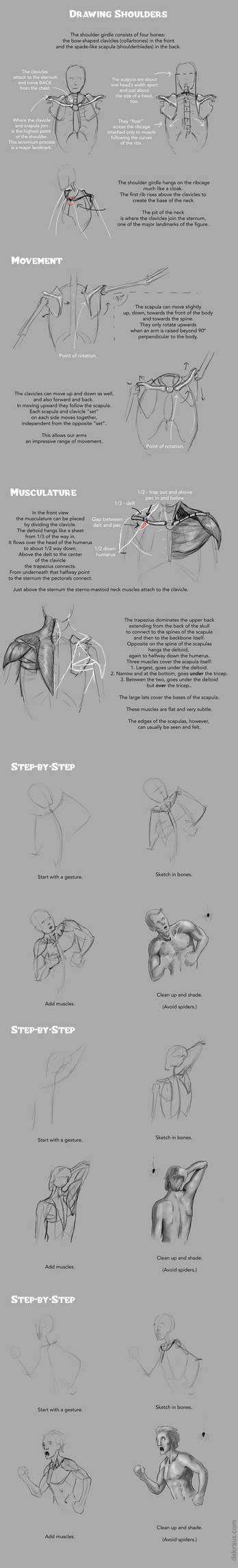 Drawing Shoulders Tutorial By Banjodi On Deviantart