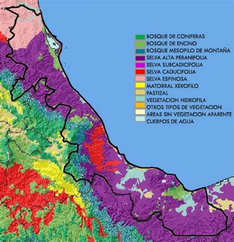 Principales Tipos De Vegetación Primaria De Veracruz Fuente Instituto