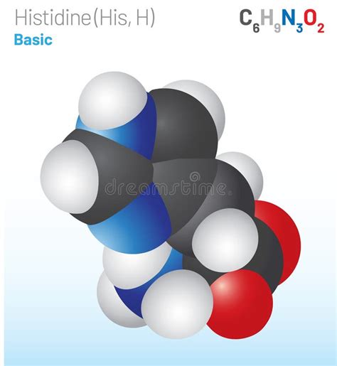 Histidine His H Amino Acid Molecule Chemical Formula C6h9n3o2