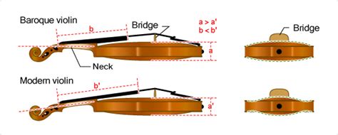 The Origins Of The Violinthe Development Of The Violin Musical