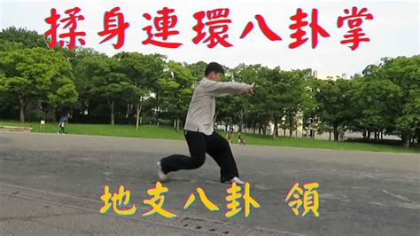 揉身連環八卦掌 地支八卦 第四段之四 領 64 Palms Form Ling Gao Style Baguazhang YouTube