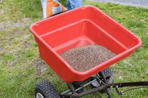 How Much Grass Seed Do You Need Per Square Foot