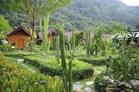 台一生態教育農園台一生態教育休閒農園 南投縣埔里鎮 旅遊景點 Vr 實景旅遊網