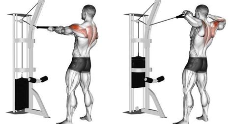 Pin By Carmelo Santos Menor On Marvel Shoulder Workout Back And