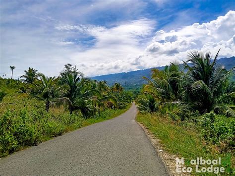 Things To Do In Moalboal Cebu Philippines