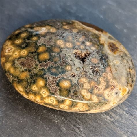 Rare Orbicular Ocean Jasper Palm Stone Fish Eye Ocean Jasper Etsy