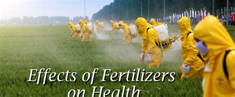 Chemical Fertilizers Effects