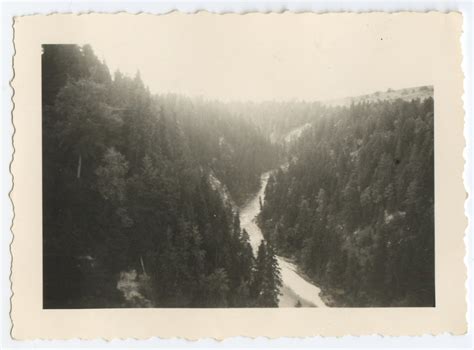 Blick von der Echelsbacher Brücke in Ammerschlucht Flickr