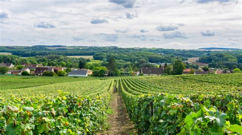 The Beginners Guide To Visiting Champagne Champagne France Travel