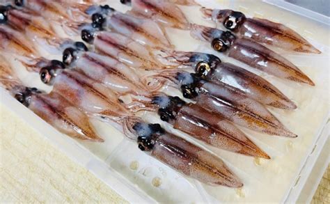 新鮮なホタルイカは美味だが生食は厳禁 寄生虫「旋尾線虫」とは？ Tsurinews