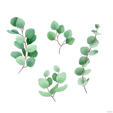 Eucalyptus Leaves Vector in Illustrator, SVG, JPG, PNG, EPS - Download ...