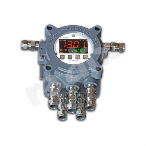 Radix Pid Controller Flameproof Ip Nex At Best Price In Mumbai