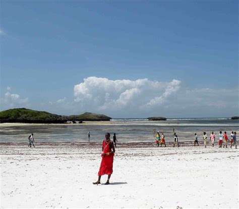 Watamu Beach Low Tide Kenya Pic By Zeno