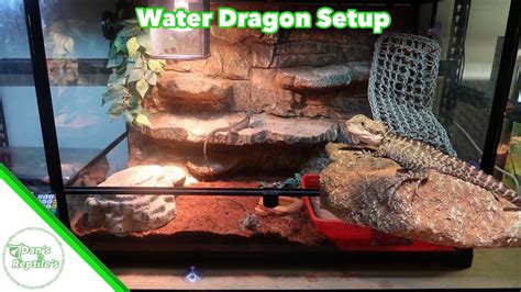 How To Setup A Water Dragon Tank Enclosure Youtube