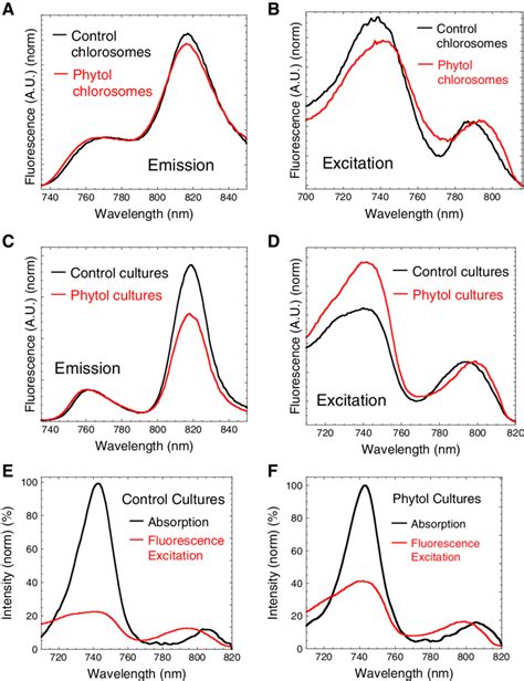 77k Fluorescence Spectra 77k Fluorescence Emission Spectra Of Download Scientific Diagram