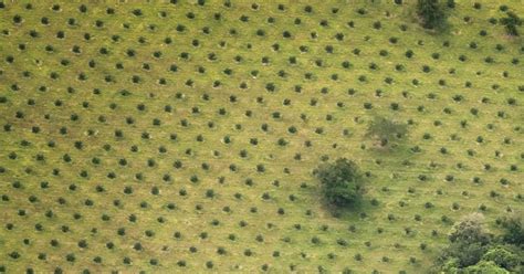 Hacer Un Mejor Uso Del Suelo Para Enfrentar El Cambio Climático Urge Un Importante Informe Wwf