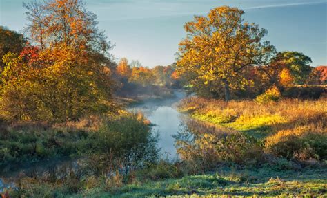 Take 5: Fall Foliage | Mass Audubon – Your Great Outdoors