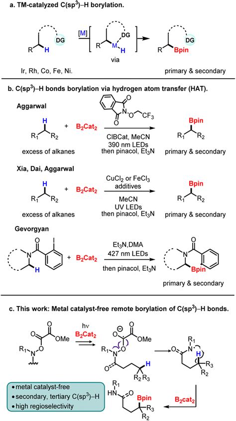 Metal Free Photoinduced Remote C Sp H Borylation Chemical