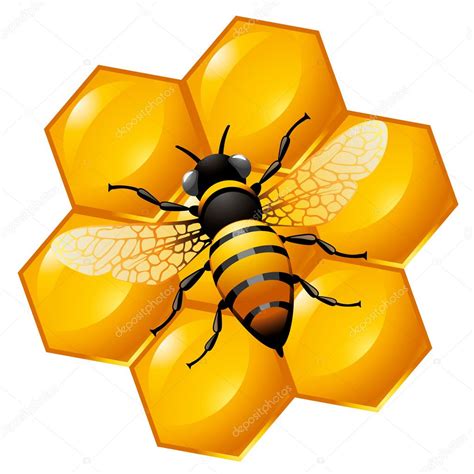 En Una Parte Del Panal De Abeja Vector De Stock Pazhyna 16786485